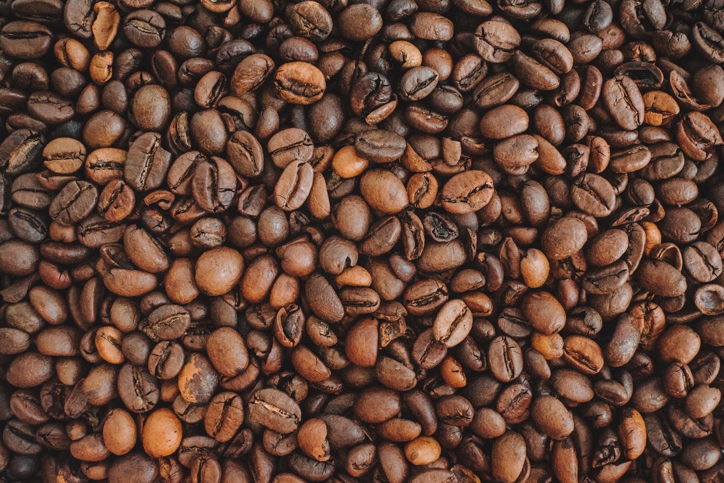 Os segredos de um café artesanal perfeito