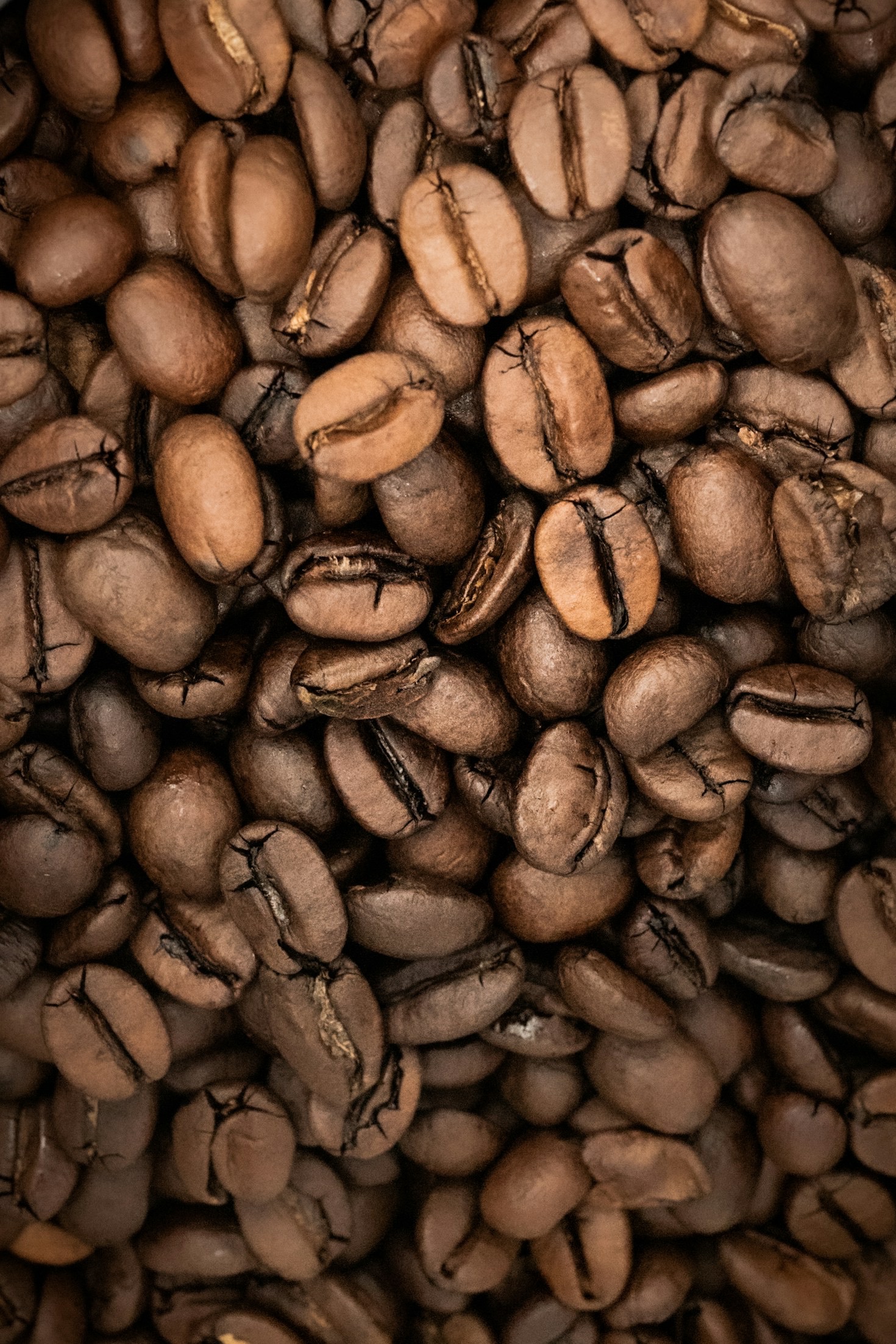 Dicas para apreciar ainda mais seu café